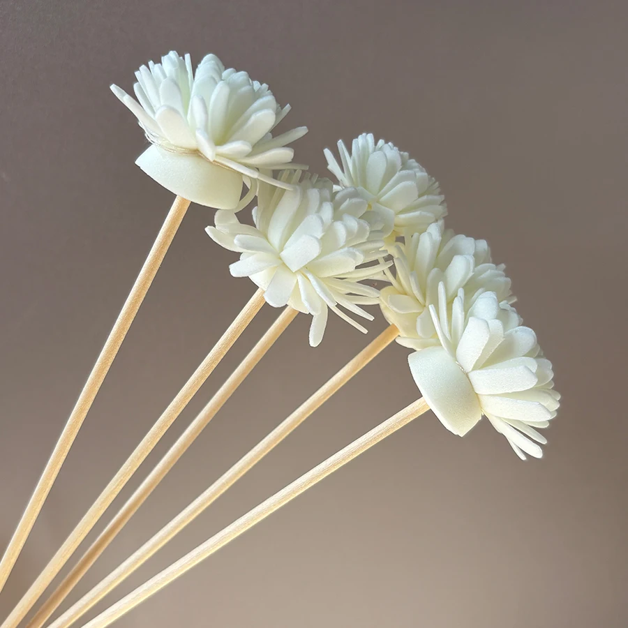 10pcs Aroma Diffusing Stick an - Aromatherapy Diffuser recension och pris