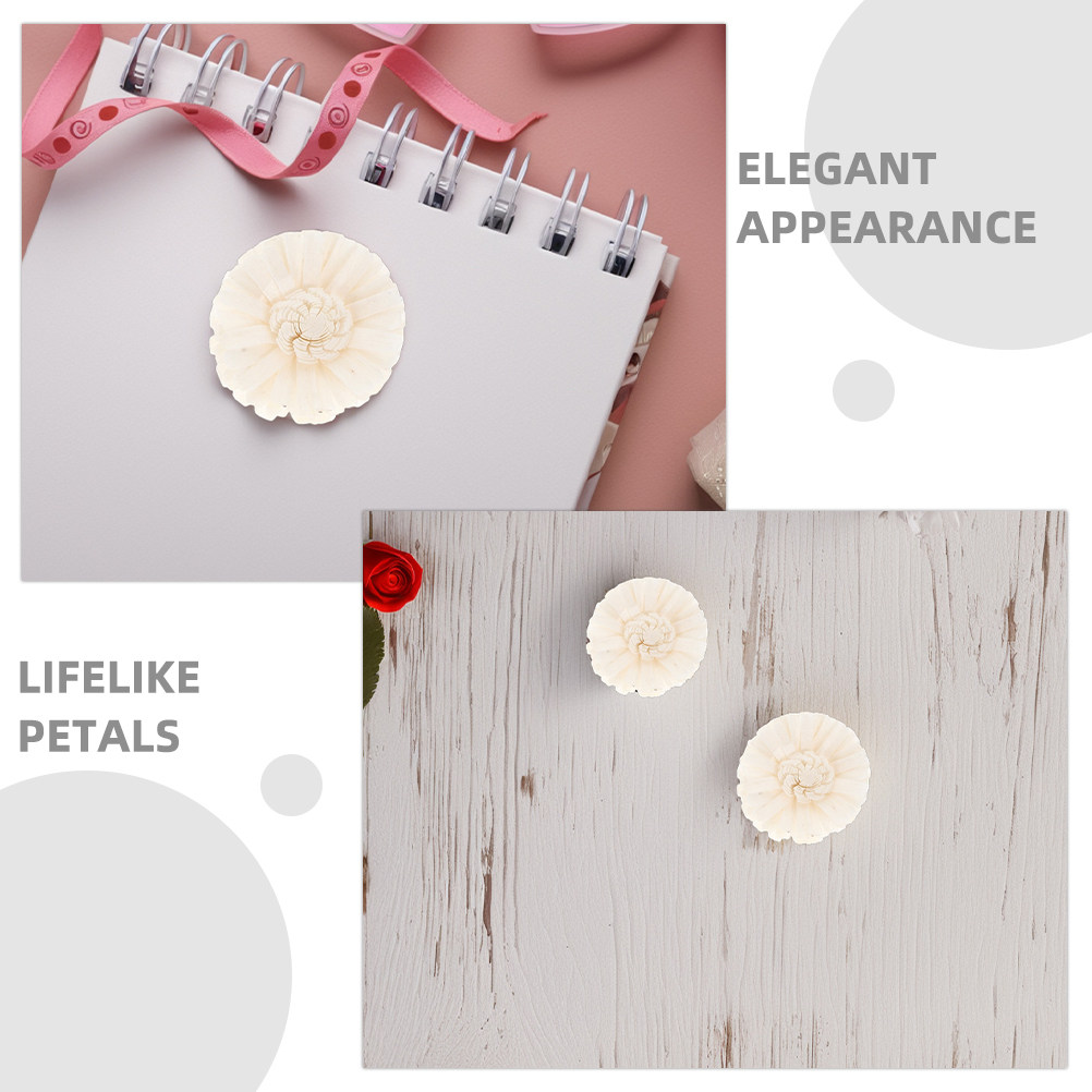 8Pcs Floral Diffuser Sola Chry - Aromatherapy Diffuser recension och pris