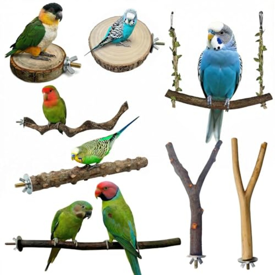 8PCS natural wood bird perches - Health & Wellness Of Carmel recension och pris